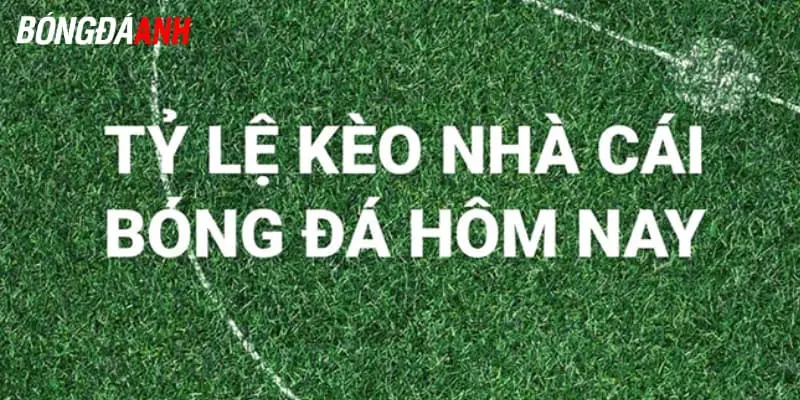 tỷ lệ kèo nhà cái Giới thiệu chi tiết về tỷ lệ kèo nhà cái là gì?